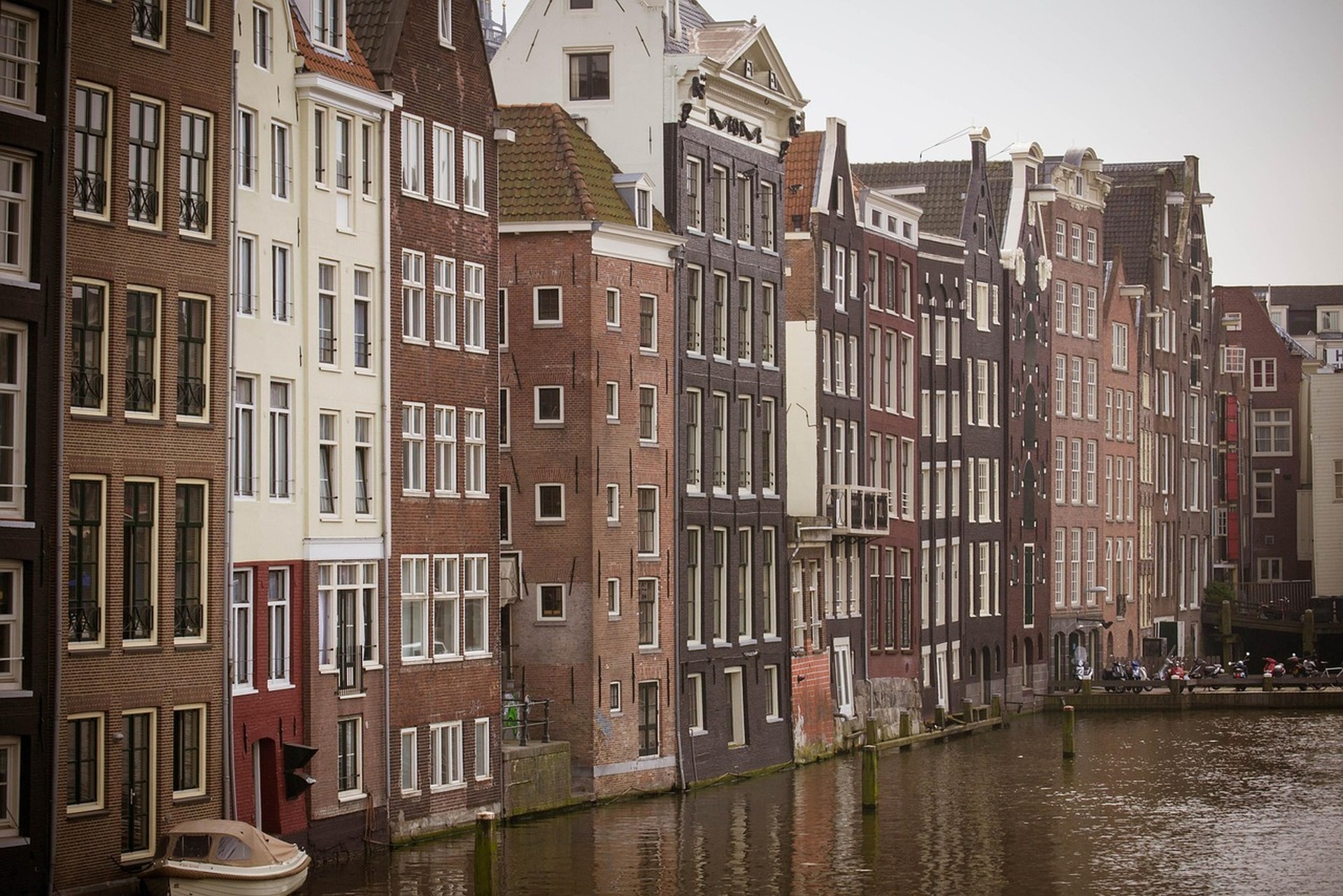 The Netherlands coffeeshop era and psychedelic tolerance: parallel histories